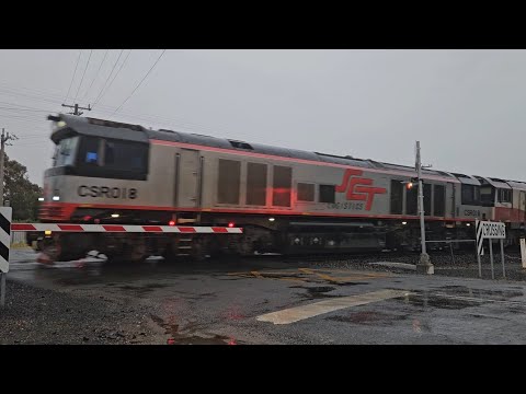 4PM9 SCT up "Dark Ghost" (3x CSR), Forrestfield WA to Laverton VIC, 1950, 23/11/24, Ararat West VIC