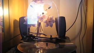 Phylis Robins - With My Eyes Wide Open, I,m Dreaming