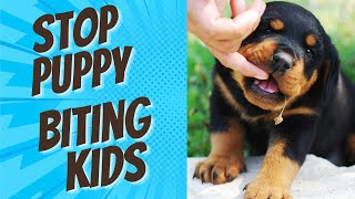 Steps to Stop Puppy Biting and Nipping at Kids Today!