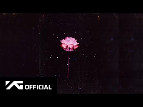 ROSÉ - 'Fallin All In You' (Shawn Mendes)' COVER