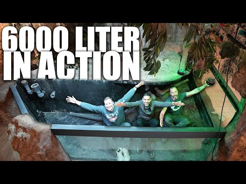6000L Einrichtung XXXL!!! Das Schaubecken im @koellezoo  Weiterstadt wird geflutet! feat. @NEYTROP
