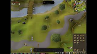 Create: AI Woodcutting Bot