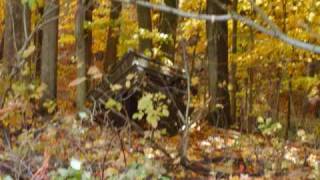 Inner Glow- Blue October