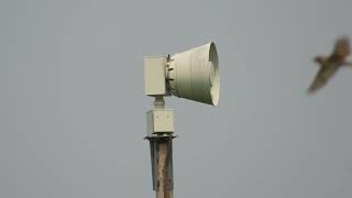 Federal Signal 2001-SRN | Alert + Whelen Siren Polling | Saint Peters, MO | 6/2/2025