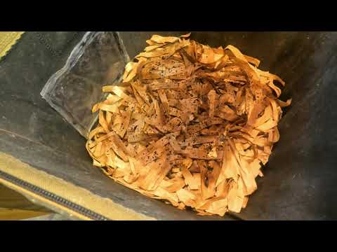 ENC check-in & feeding after 6 days - worm farm vermicomposting