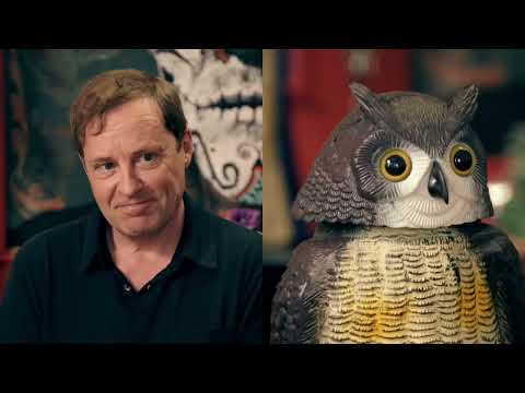 ardal o'hanlon being the "charming" irishman on taskmaster for 34 minutes