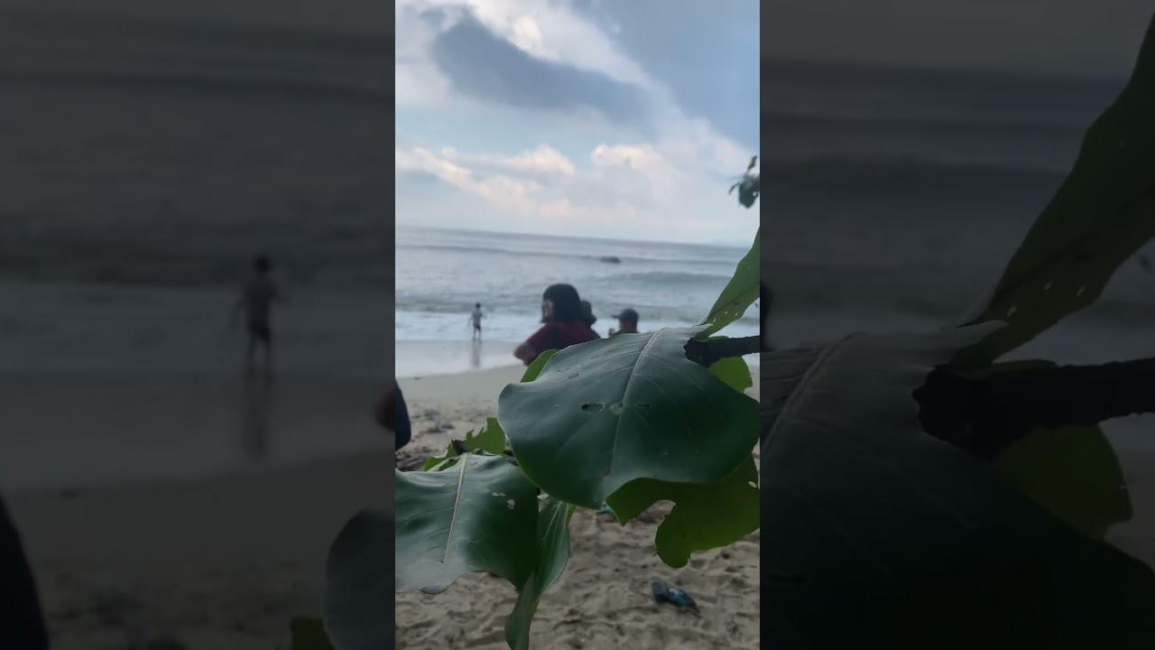 I volunteered in a Beach Cleaning Up Program! #Volunteer #Beach #scenery #vlog #beautiful