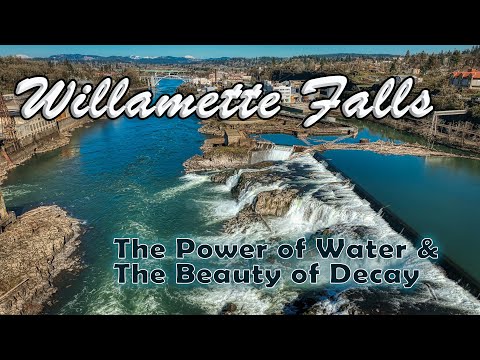 Vídeo de Scott Wehba