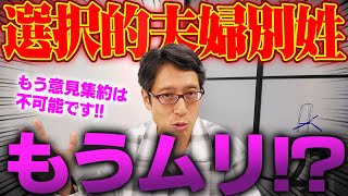 選択的夫婦別姓はもう進まない？ 国民民主の足立さんと話してきました！