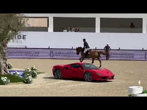 CSI5* Saint-Tropez Grimaud - Kevin Staut & Iliade KDW Z - 1.50m à barrage - 2022