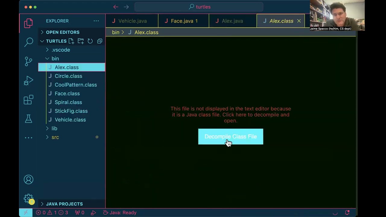 In VSCode, open src folder, not bin folder