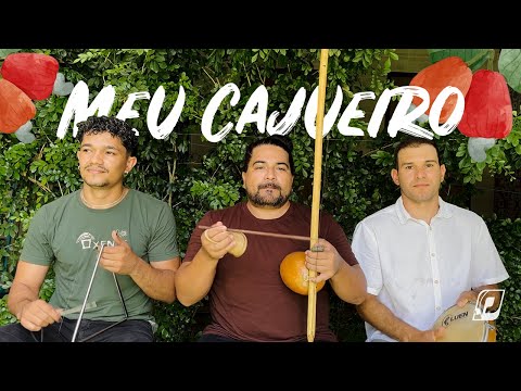 Música Meu Cajueiro - Pitoco Formiga e Tony capoeira 2025