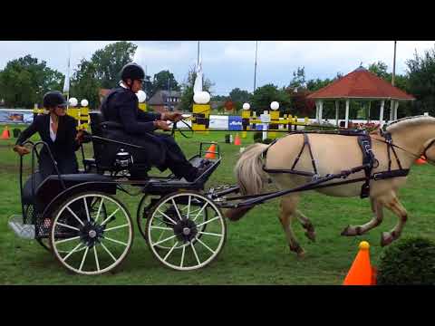 Fahrturnier Ostenfelde 19.8.2017