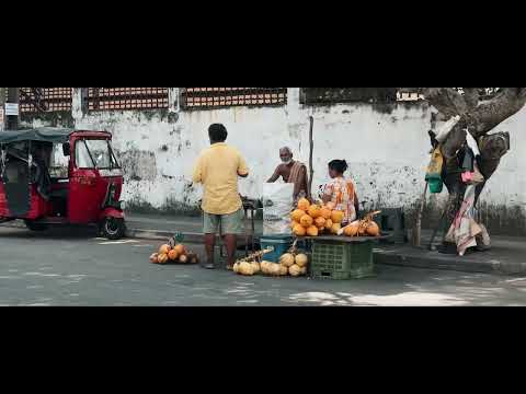 Best Places to See, Shop and Dine in Colombo, Sri Lanka