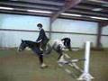 Julie Jumping December 31 2006
