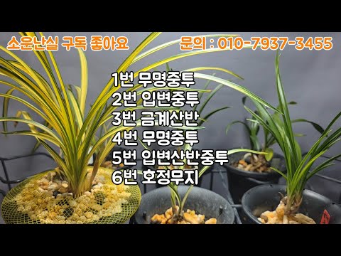 유튜브 썸네일