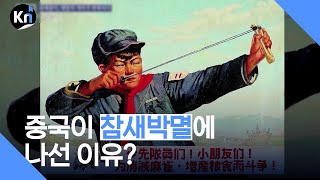 Download lagu Why did China try to exterminate sparrows in the 1950s? mp3