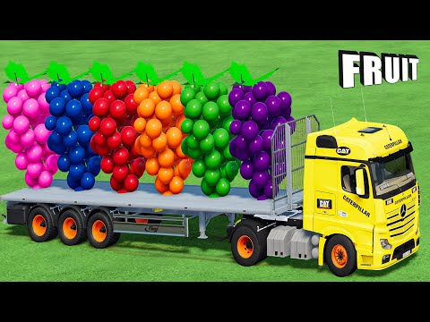 TRANSPORT OF COLORS! GREAT GRAPES TRANSPORT WITH TRUCK & COLORED LOADERS! Farming Simulator 22