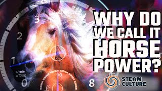 How We Got The Term Horsepower - Steam Culture