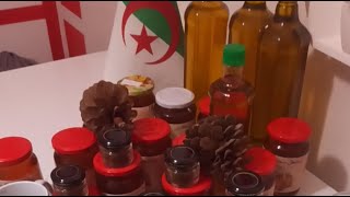 مباشر الجزائر تربية النحل مع مفيد 2026/01/12