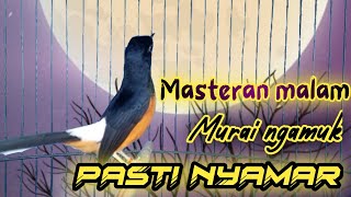 Download lagu PANCINGAN MURAI BATU MALAM HARI GACOR FULL ISIAN, SEKALI DENGAR AMPUH BUKIN MURAI EMOSI NAIK mp3 Download lagu PANCINGAN MURAI BATU MALAM HARI GACOR FULL ISIAN, SEKALI DENGAR AMPUH BUKIN MURAI EMOSI NAIK mp3