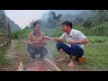 Timelapse A Poor Girl Builds Her Daily Life With A Man In A Simple Bamboo House