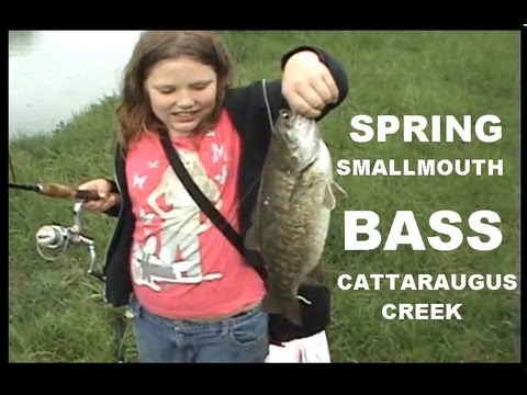 download lagu mp3 mp4 A OK For Kids The Smallies, download mp3 A OK For Kids The Smallies free download mp3, download mp3 A OK For Kids The Smallies