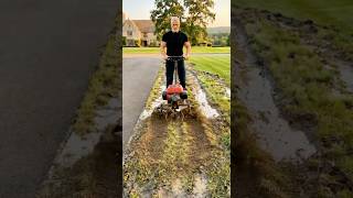 Budget Front Yard Landscaping 🌱 Easy DIY Garden Transformation