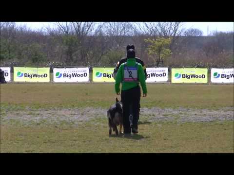 Miran von Kyoto Masuda C91