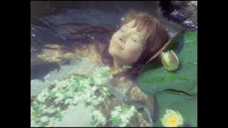 Love From Room 109 at the Islander