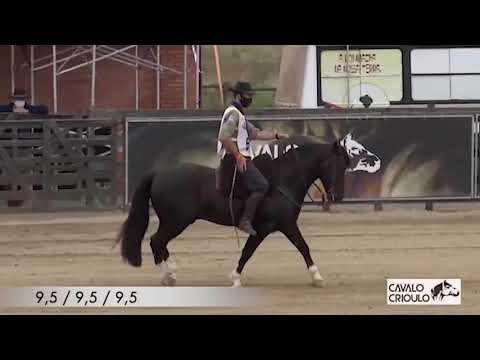 Lote 2 SANTA ALICE POSTEIRO