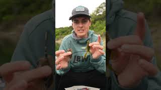 Download lagu Vibrating Jig TIPS For EVERY ANGLER mp3