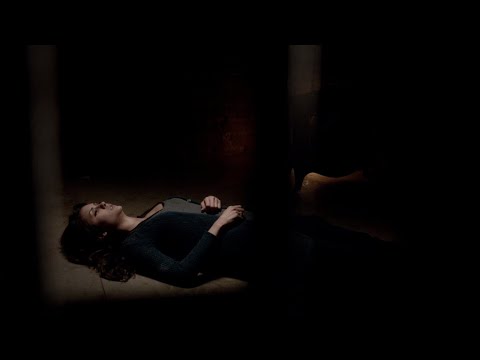 TVD 4x20 - "She's the calmest desiccating vampire I've ever seen" | Delena Scenes HD