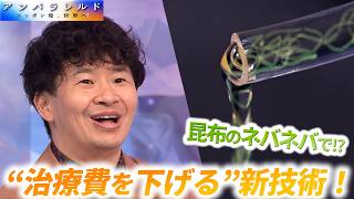 高額な再生医療に新風！昆布のネバネバで細胞培養コストを7割削減！？【アンパラレルド】
