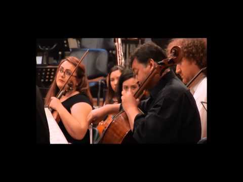 Ana Antonia Tudose & Mircea Itcus - C.Saint-Saëns - Carnavalul animalelor