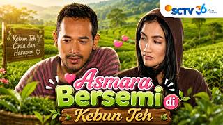 Download lagu FULL FTV SCTV Oka Antara dan Atiqah Hasiholan | Asmara Bersemi di Kebun Teh mp3 Download lagu FULL FTV SCTV Oka Antara dan Atiqah Hasiholan | Asmara Bersemi di Kebun Teh mp3
