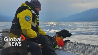 How a black lab helped locate a missing BC mudslide victim in Okanagan Lake