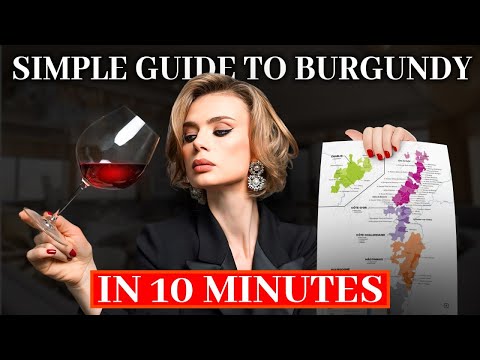 Burgundy Wine: Is it Worth the Hype? (a beginner's guide to Tasting & Buying)