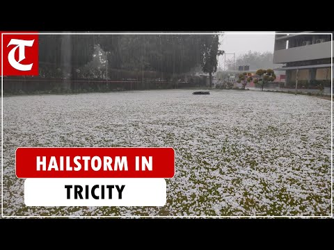 Hailstorm in Chandigarh, Kharar, Mohali as rain lashes Punjab, Haryana