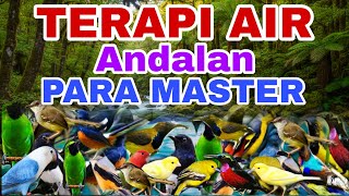 Download lagu ANDALAN PARA MASTER SAAT BURUNG MACET BUNYI, TERAPI AIR UNTUK SEMUA JENIS BURUNG MACET BUNYI mp3