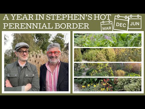 A year in Stephen's hot perennial border!