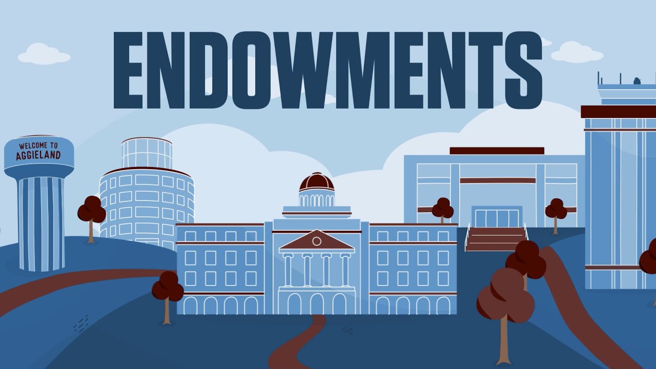 What is an Endowment?