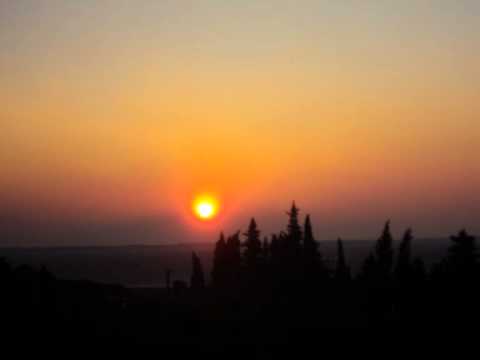 geburtstagssong-polo hofer