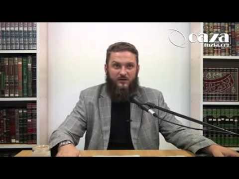 PORODICE ASHABA NEKAD I NAŠE SADA   Mithad Ćeman, prof