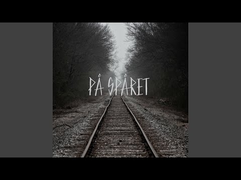På Spåret - Björnarna