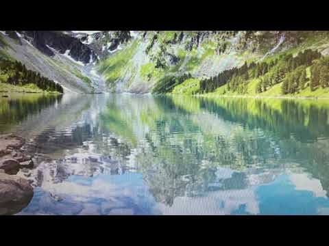 "Animal Age: The Meltdown" Part 4 - The Flood is Coming!