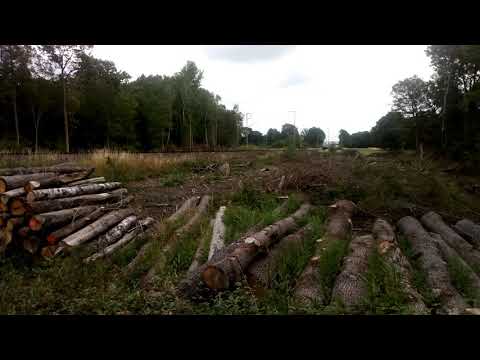 RB61 Flirt naar Hengelo in Bad bentheim