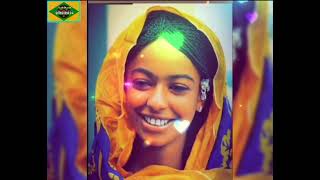 تمبيري ايلي / سيدنا يوسف كداي بور ليراعي /تجاني صالح / اغاني زغاوة