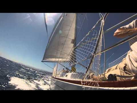 Cal 40, Nalu V,  sailing a spinnaker
