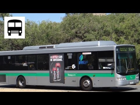 Mercedes-Benz OC500LE CNG (12.3m) - Transperth Superbus 950 (Part Three, ZF Ecomat Sixth Gear)